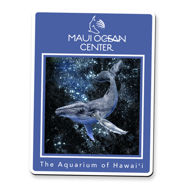 Bold full-color vinyl magnet with the aquarium's whale attraction