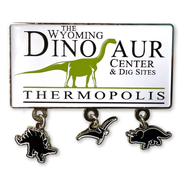 Enamel Charms Magnet